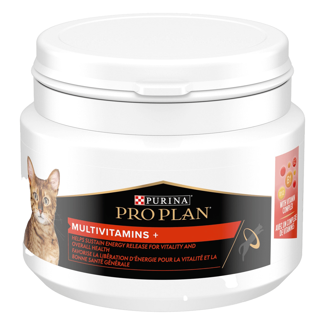 Protein supplements outlet for cats